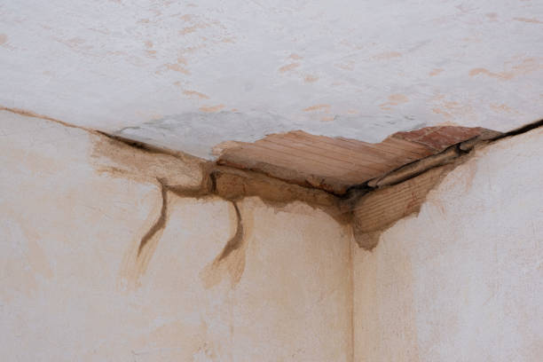 Best Water damage restoration near me  in Kingsford, MI
