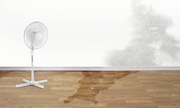 Best Basement water damage restoration  in Kingsford, MI