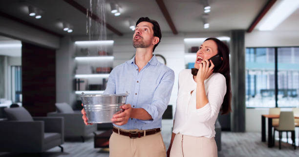 Best Residential water damage restoration  in Kingsford, MI