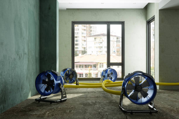 Best Carpet water damage restoration  in Kingsford, MI